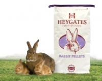 Rabbits and bag