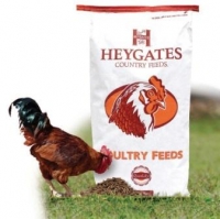 Chicken and bag